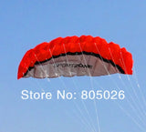 2.5m dual Line Stunt power Kite soft kite Parafoil