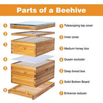 Easy Assembly Expandable Beehive Kit Beeswax Coated Metal Top