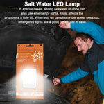 Portable Salt Water Lamp 50 LM Energy Saving