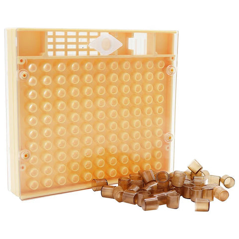 Cell Cup Box kit Queen Bee Rearing system