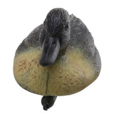 High-end Practical Mallard Duck Decoys  6 Pack